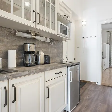 Spacious Duplex Near Park And Metro In Vinohrady By Easybnb Apartmán Praha